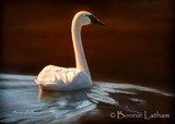 by Bonnie Latham