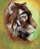 by Debbie Gray