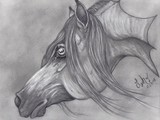 by Leah Jaarveth