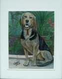 by Cheri Laffre
