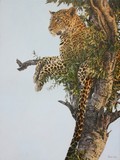 by Jon Ren