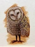 by Lucia Stewart