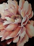 by nicolee payne