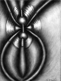by Shawn McDonald