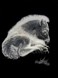 by Joanne Harvey