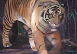 by Leigh Rust