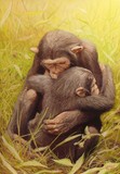 by Leigh Rust