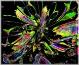 by Barry Huyett