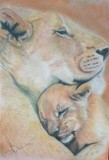 by jay dawn