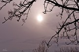 by Sigridur Bachmann