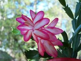 by Beverly Farrington