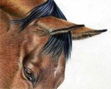 by Margaret Dent
