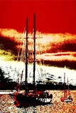by magenta white