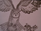 by Mona van der Veen
