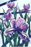 by Leni Friedland