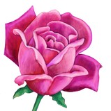 by Ruth Ducker