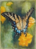 by Barbara Keith
