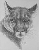 by Barbara Keith
