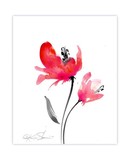 by Kathy Morton-Stanion