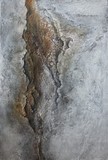 by Liesbet Optendrees