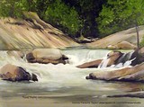 by Donna Taylor