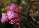 by Bill M