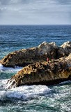 by Ropati Leaso-Cobb