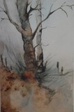 by jill madgwick