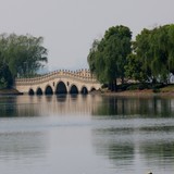 by Wayne Combridge 