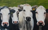 by Alison Vernon