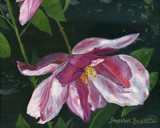 by Genevieve Bascetta