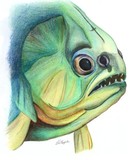 by Jenny Haslimeier