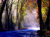 by Nature Images