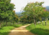 by Heloisa Castro