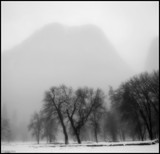 by Stuart May