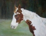 by Kathy Schoeppner
