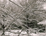 by Emily O'Keeffe