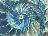 by stacy  wieckowicz