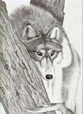 by Heidi Farrar
