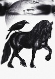 by Katie Swirl