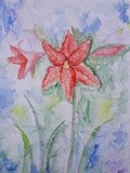 by Patricia Elgee