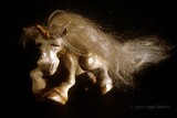 by Steph Laberis