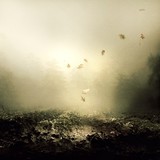 by Martin Stranka