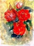 by Hedwig Pen