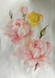 by Hedwig Pen