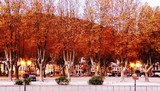 by Tak-Sek Chan