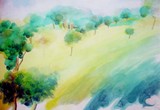 by yasir edris