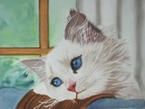 by Karen Park