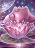 by Chirila Corina