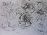 by Anastasia P